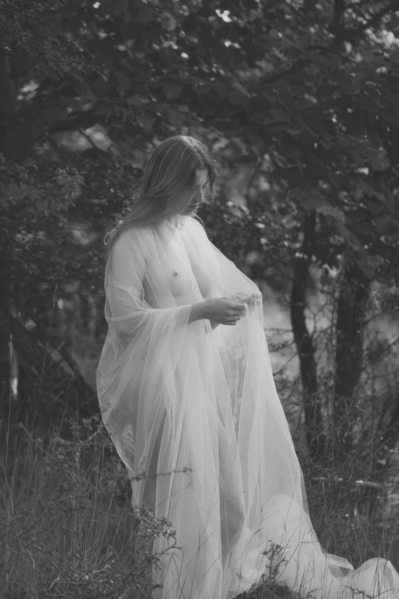 Sous-bois — figure drapée de tulle en forêt